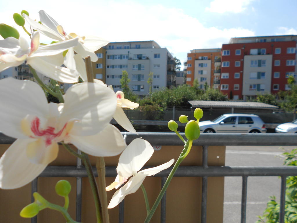 Apartment Beethoven *